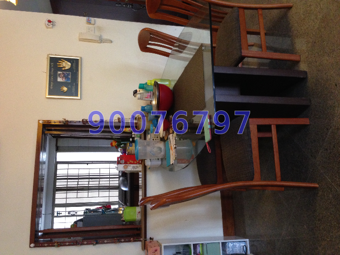 Parc Vista (D22), Condominium #9256062